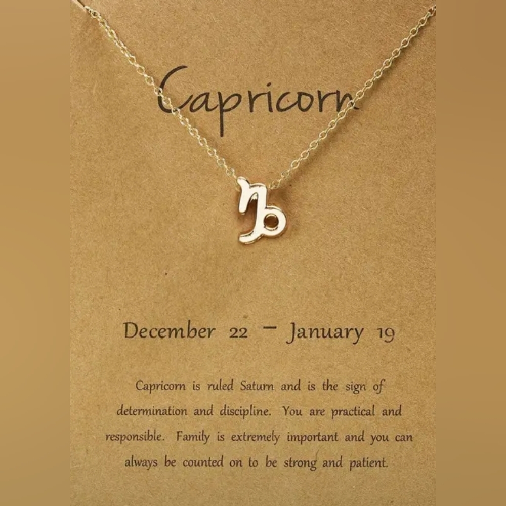 Capricorn Necklace